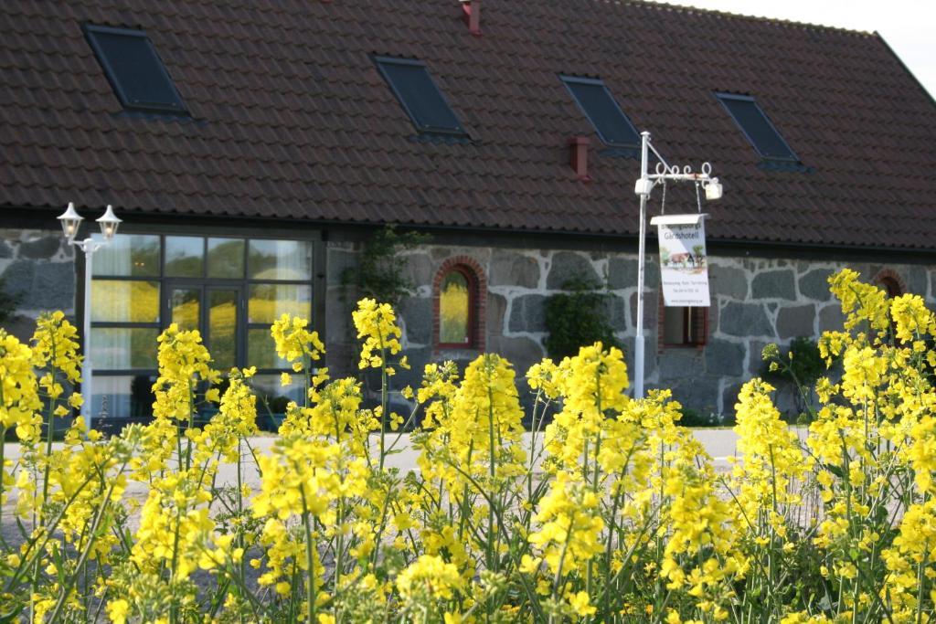 Blasingsborgs Gardshotell Pa Oesterlen Kivik Exterior photo